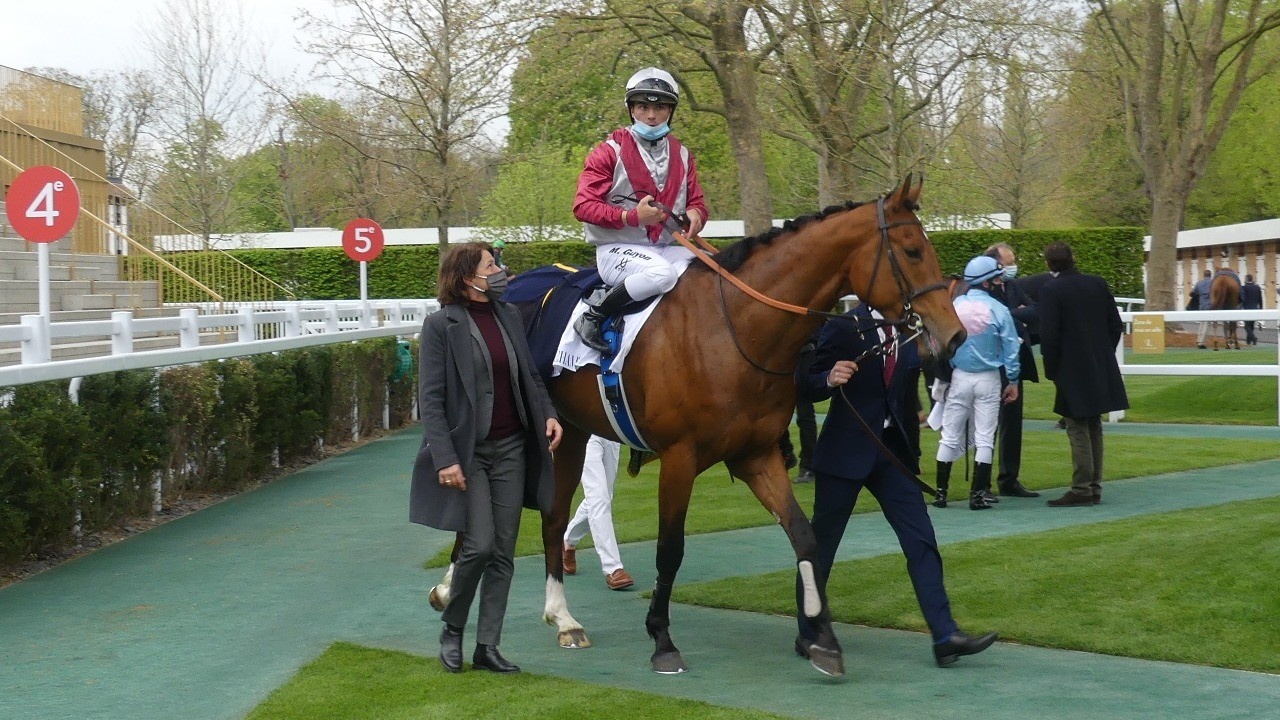 Policy Of Truth a big player for French Guineas in more ... Image 1